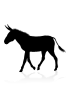Anti-Donkey