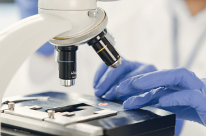 Plate-forme OncoTRIP®