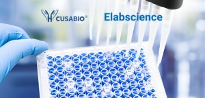 50 % de réduction sur une large sélection de kits ELISA !